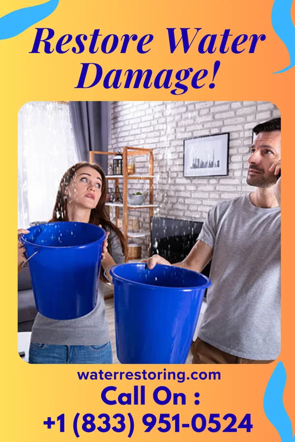 water restoration Extraction Inc Carteret