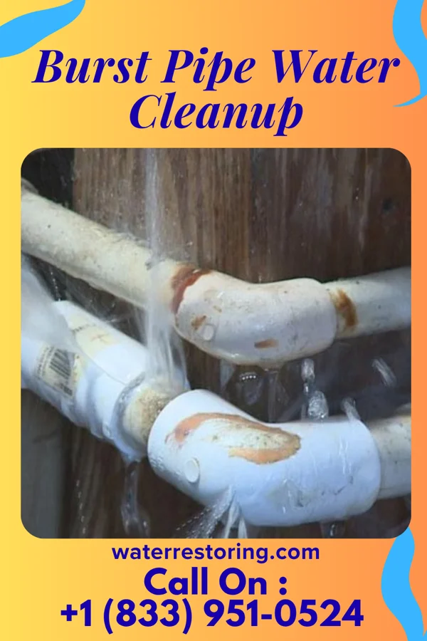 Burst Pipe Water Cleanup in Carteret, NJ