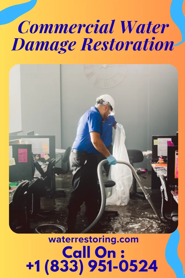 Commercial Water Damage Restoration in Carteret, NJ