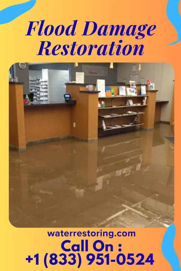 Flood Damage Restoration in Carteret, NJ