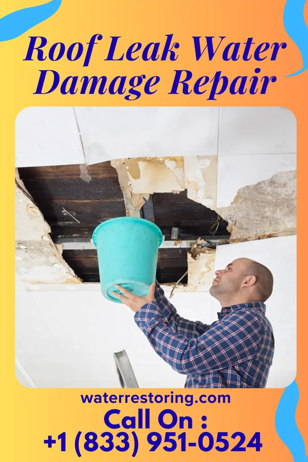 Roof Leak Water Damage Repair in Carteret, NJ