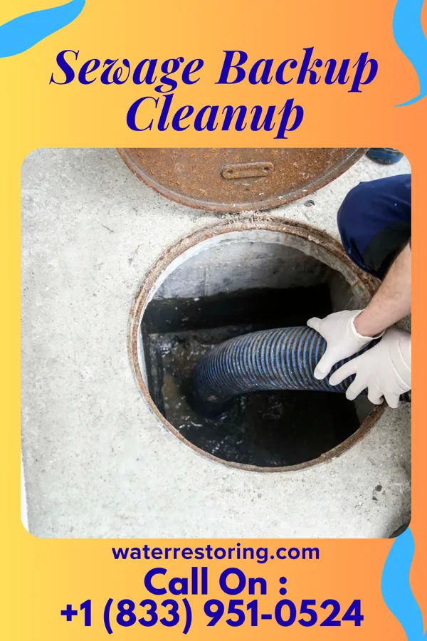 Sewage Backup Cleanup in Carteret, NJ